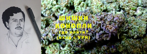 эйфоретик Лабытнанги