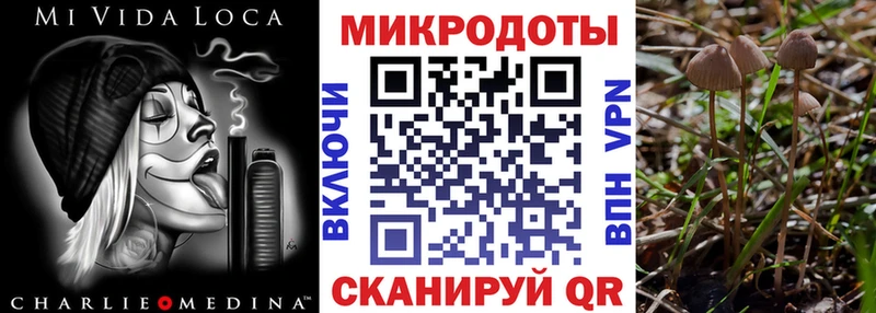 Псилоцибиновые грибы Psilocybine cubensis  Мыски 